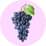 Grapes and berries